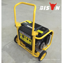 BISON (CHINA) 110V 220V tragbare Stromversorgung Kleiner elektrischer Generator Motor 3KW Benzingenerator